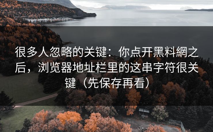 很多人忽略的关键：你点开黑料網之后，浏览器地址栏里的这串字符很关键（先保存再看）