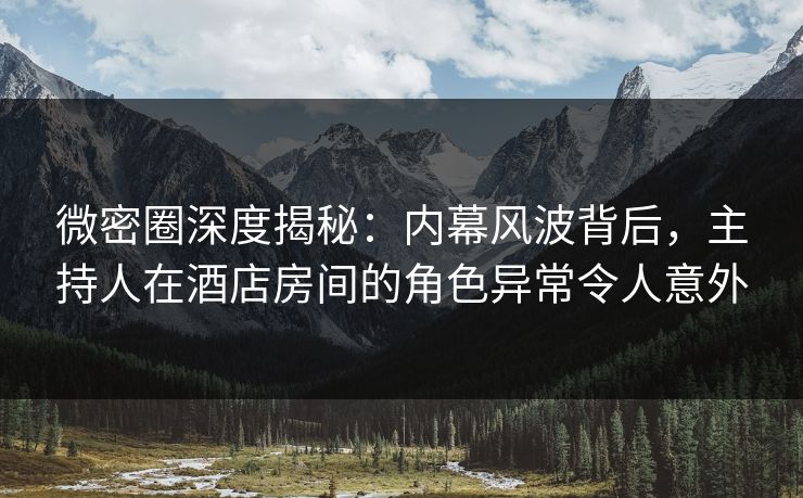 微密圈深度揭秘：内幕风波背后，主持人在酒店房间的角色异常令人意外