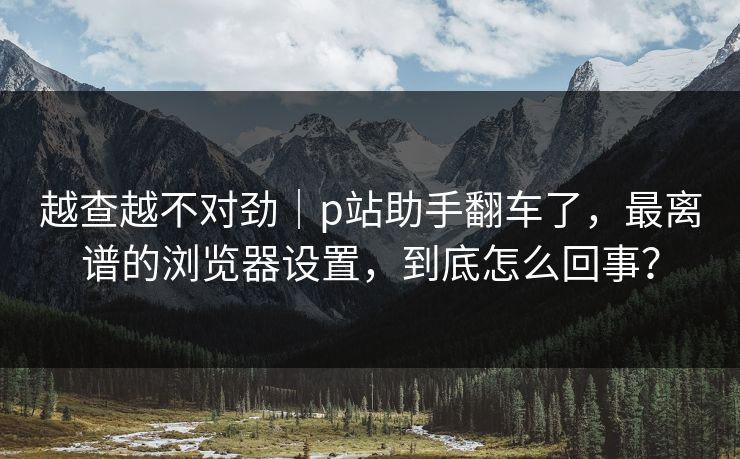 越查越不对劲｜p站助手翻车了，最离谱的浏览器设置，到底怎么回事？